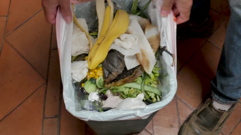 Best Carpet Removal and Disposal  in Cornville, AZ